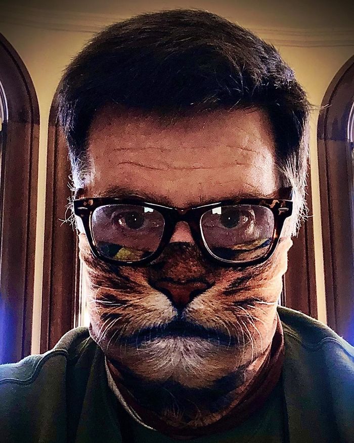 Realistic-Cat-Face-Masks