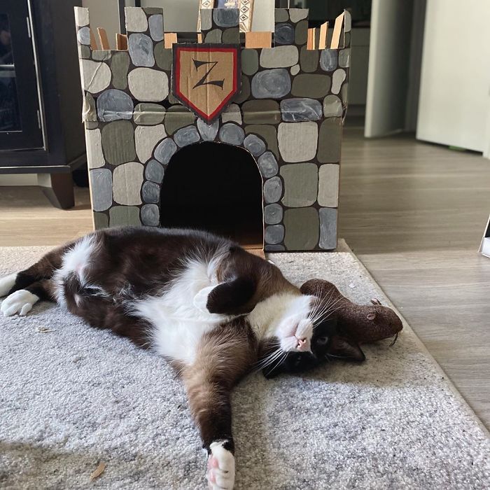 You Shall Not Pass! #mood #catfortress #catfort #catcastle