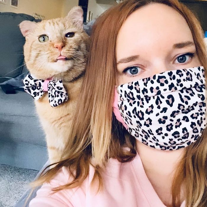 After Convincing Landlord, Woman Brings The Saddest Stray Cat Home, A Year Later, He’s Unrecognizable After Convincing Landlord, Woman Brings The Saddest Stray Cat Home, A Year Later, He’s Unrecognizable