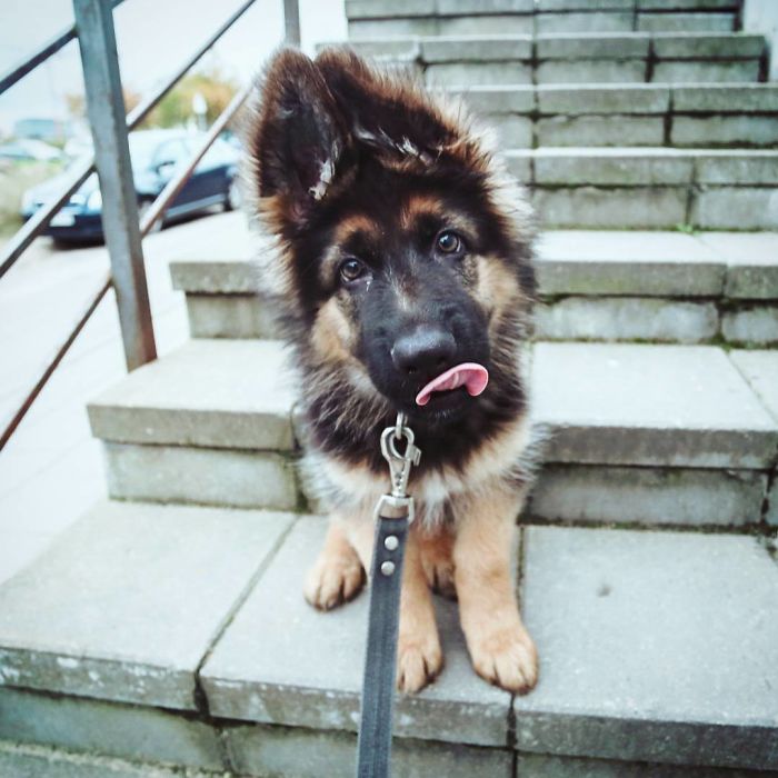 When You Feel A Little Bit Sad, There Is Someone Who Can Fix It