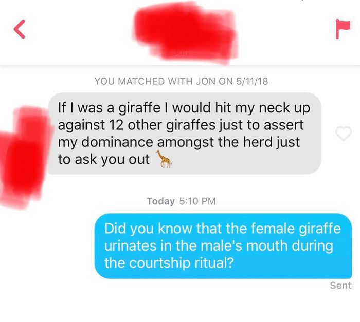 Tinder conversation showing a cringe-worthy pickup line about giraffes followed by an awkward factual reply.