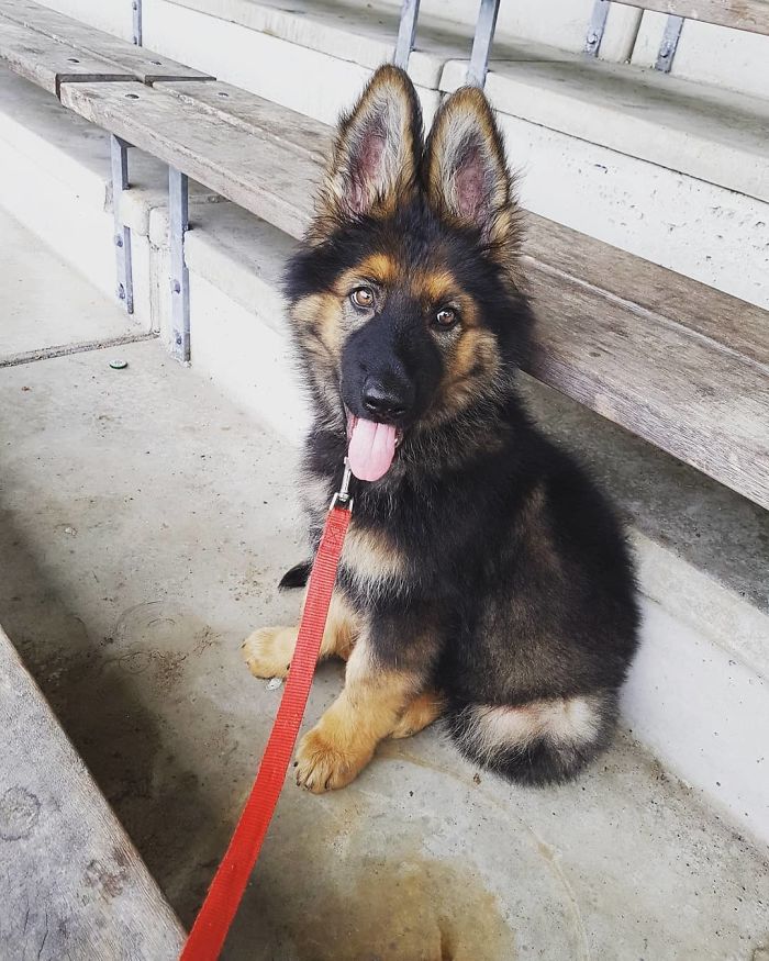 At The Soccer Field. Watching Little Hooman Practice