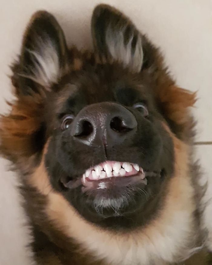 The Face You Make When Your Ma Tells You It's A Long Weekend