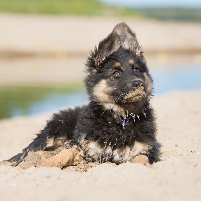 Nova Likes Water So Much