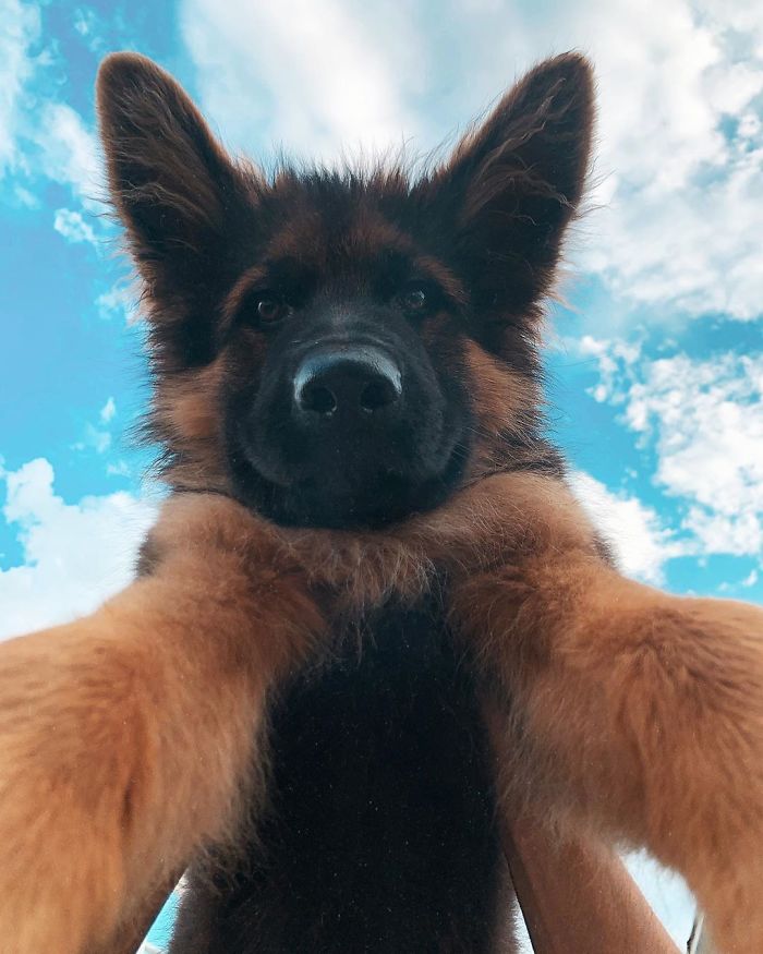 Ah, So This Is What A Selfie Looks Like. Real Question Though, Does This Angle Make Me Look Fat?