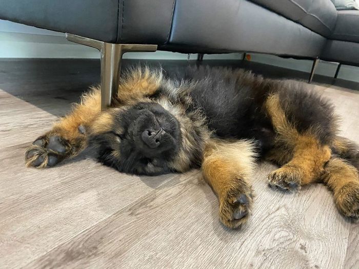 Just Out Here Trying To Find The Most Comfy Way To Sleep