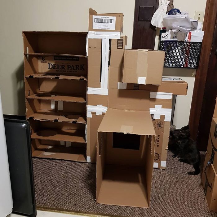 Look At What Mommy Made For Me! It's My Own Playhouse. I Still Haven't Figured Out Everything But I Love It