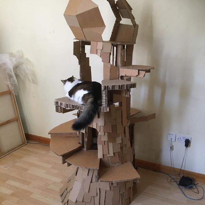 Cat sitting on a large cardboard fort made from recycled boxes, showcasing an ecological solution for repurposing cardboard.