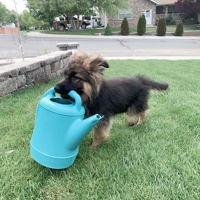 Time To Go Water My Pants