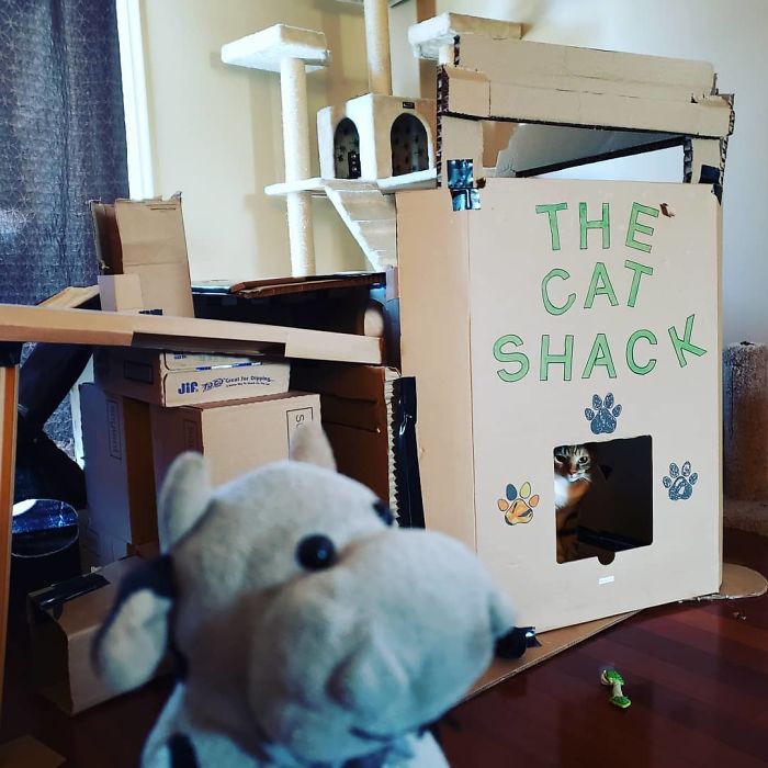 I Think I May Have Wandered Into A Rough Neighborhood...