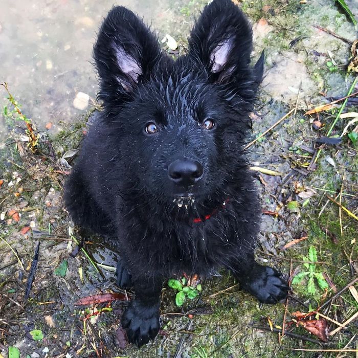 Love Swimming Already