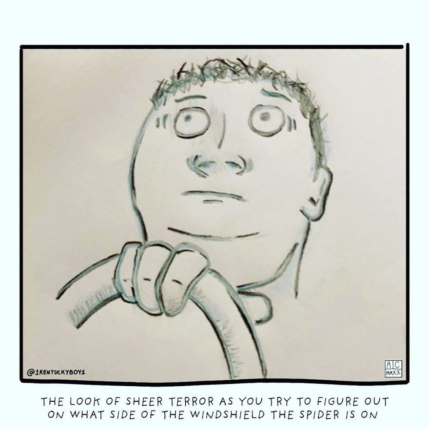 Nearly Drove Into The Median