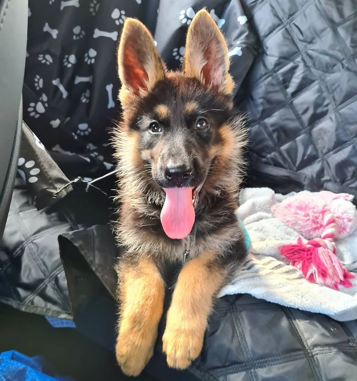 Am I A Good Girl Sitting Like This In The Car?