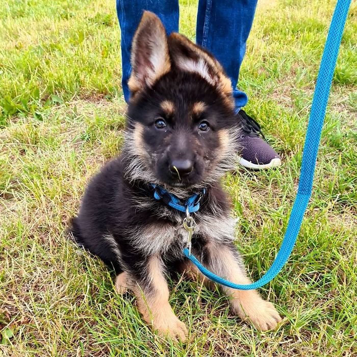 I'm Such A Good Girl