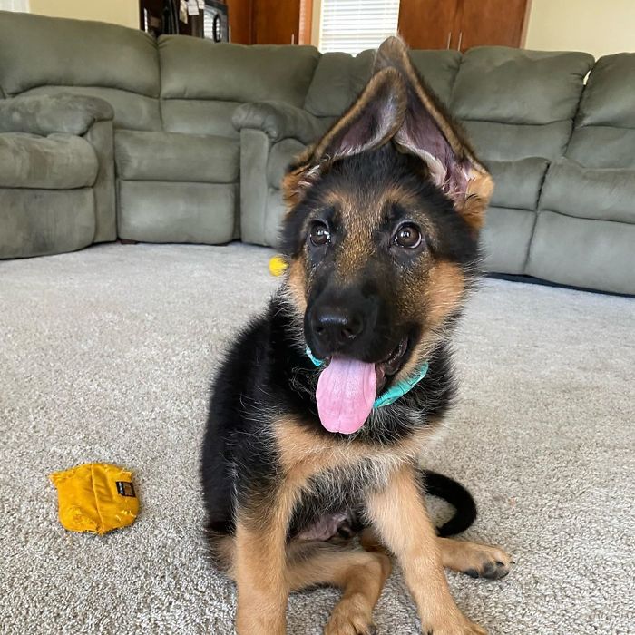 You Gib Cold Cube Today? I’ll Keep My Ears Crossed