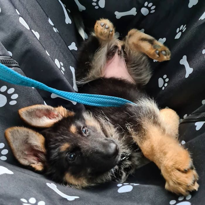 I Love Taking A Car Ride