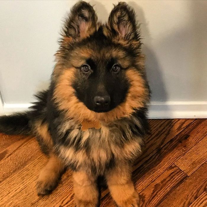 It’s Me Guys, Baby Theo