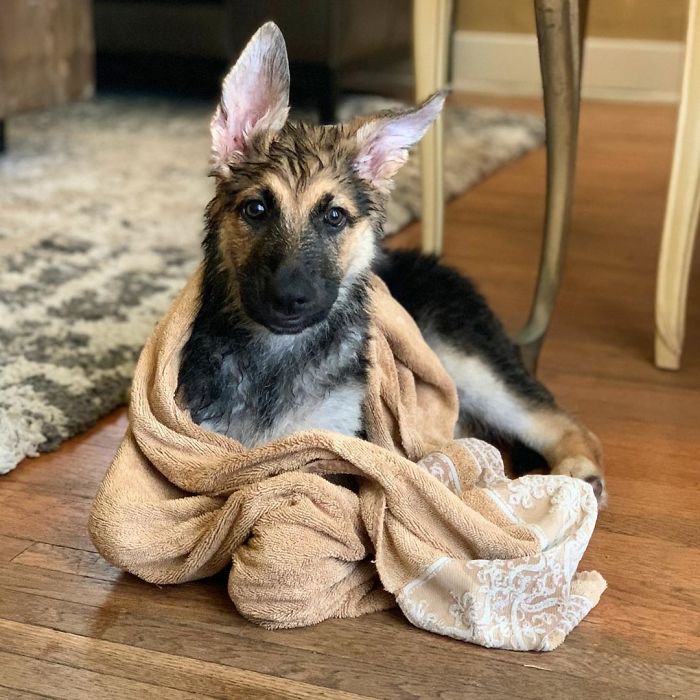 Rub A Dub Dub- Finally Got Out Of The Tub