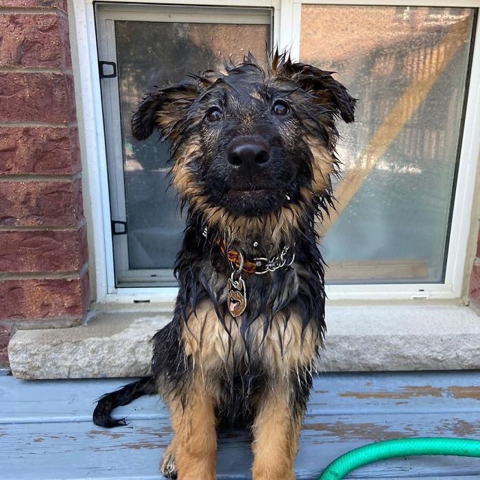 Can I Get More Water