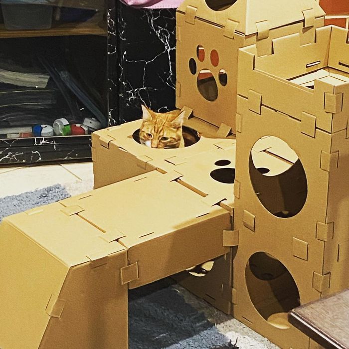 Orange cat peeking out of an intricate cardboard fort made from eco-friendly recycled boxes for playful pet fun.