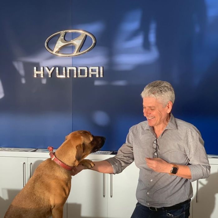 Stray Dog Keeps Visiting A Hyundai Dealership, They Give Him A Job And His Own Badge Stray Dog Keeps Visiting A Hyundai Dealership, They Give Him A Job And His Own Badge