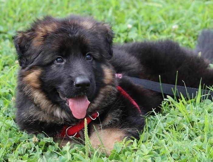 Legend Getting All Settled Into His New Home