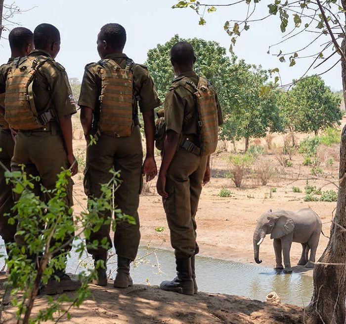 This All-Female Unit Of Rangers Protecting Wildlife From Poachers In Zimbabwe Is Epic This All-Female Unit Of Rangers Protecting Wildlife From Poachers In Zimbabwe Is Epic