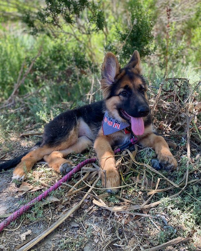 Morning Walk Breaks A.K.A. Photoshoots