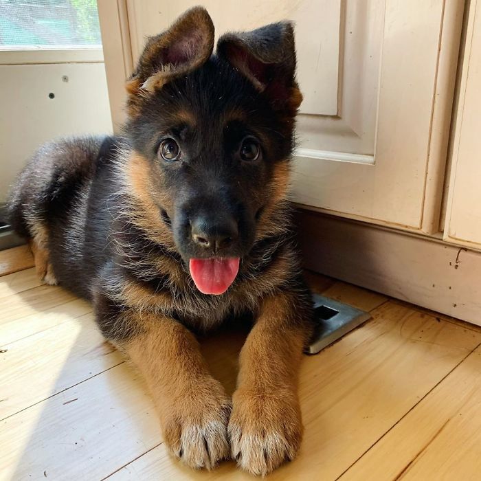 Newest Addition To The Rhodes Family