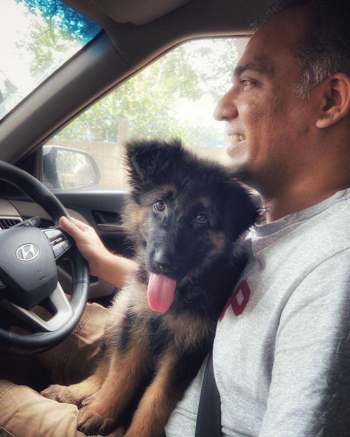 Though I Hate Drives, This Is My Favourite Place To Sit During One