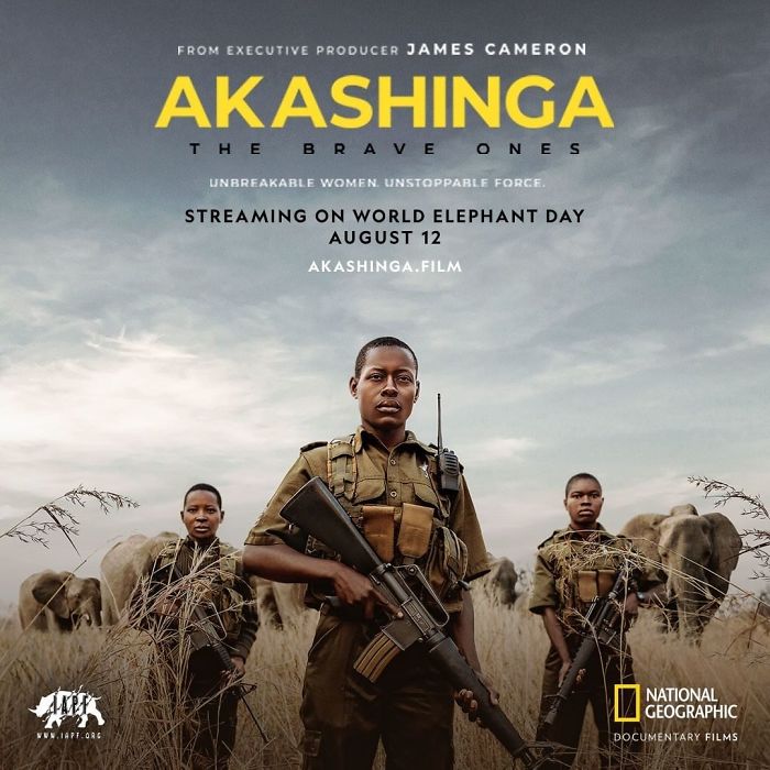 This All-Female Unit Of Rangers Protecting Wildlife From Poachers In Zimbabwe Is Epic This All-Female Unit Of Rangers Protecting Wildlife From Poachers In Zimbabwe Is Epic