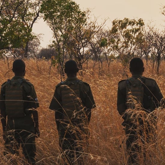This All-Female Unit Of Rangers Protecting Wildlife From Poachers In Zimbabwe Is Epic This All-Female Unit Of Rangers Protecting Wildlife From Poachers In Zimbabwe Is Epic