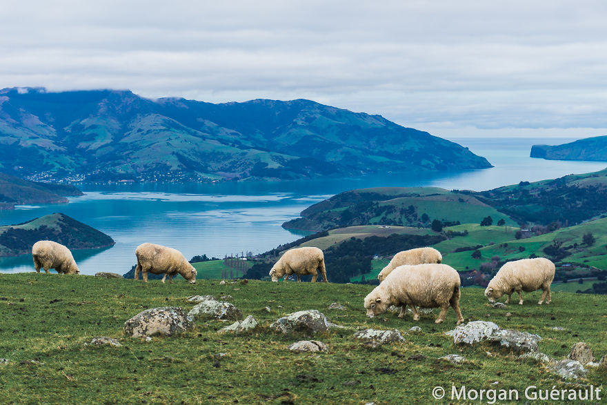 Akaroa