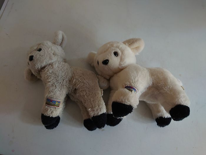 Lucy On Left Had For 32 Years, On The Right Ebay Purchase Of What She Looked Like New!