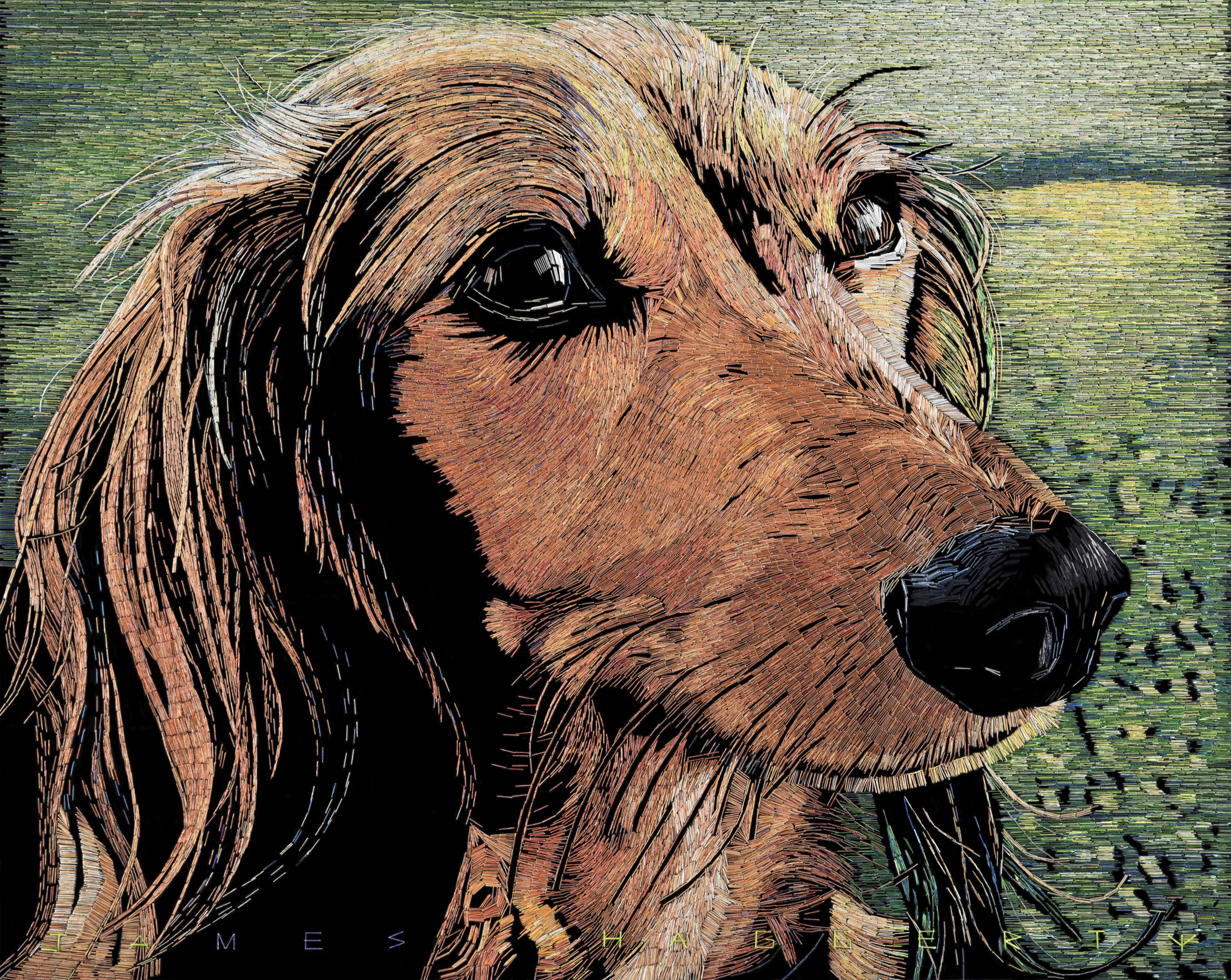 I Used 75,738 Staples To Create A Portrait Of The Family Dog.