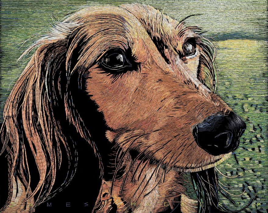 I Used 75,738 Staples To Create A Portrait Of The Family Dog. I Used 75,738 Staples To Create A Portrait Of The Family Dog.