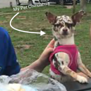 ssasicstrmystr avatar