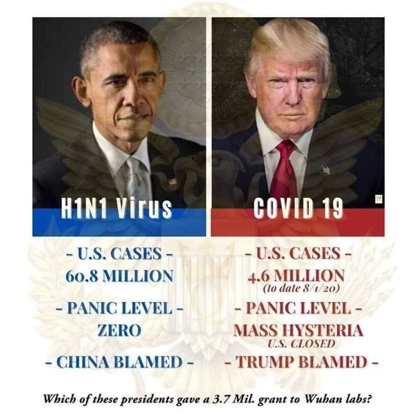 H1N1-vs-Covid-19-5f2e282499374.jpg