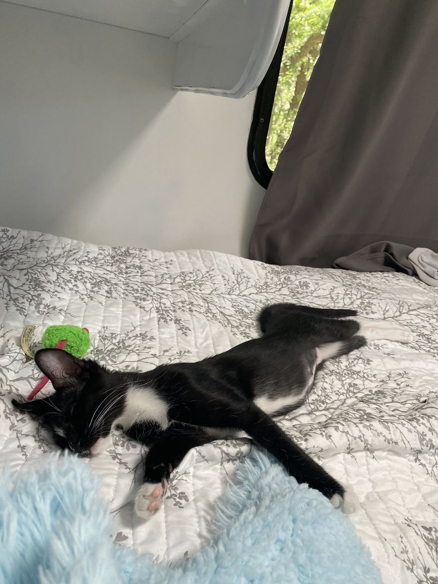 I Bought An Old 1995 RV, And Here's How I Transformed It Into A Beautiful Home For Me And Two Kittens That I Recently Adopted (21 Pics)