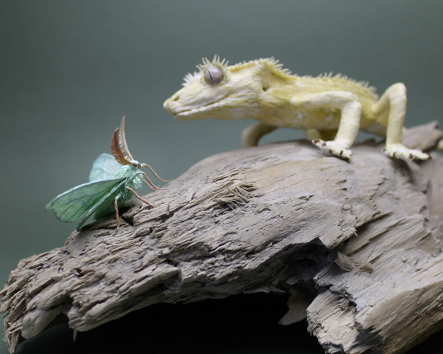 I Use My Unique Technique To Create Realistic Animals And Plants From Paper (34 New Pics) I Use My Unique Technique To Create Realistic Animals And Plants From Paper (34 New Pics)