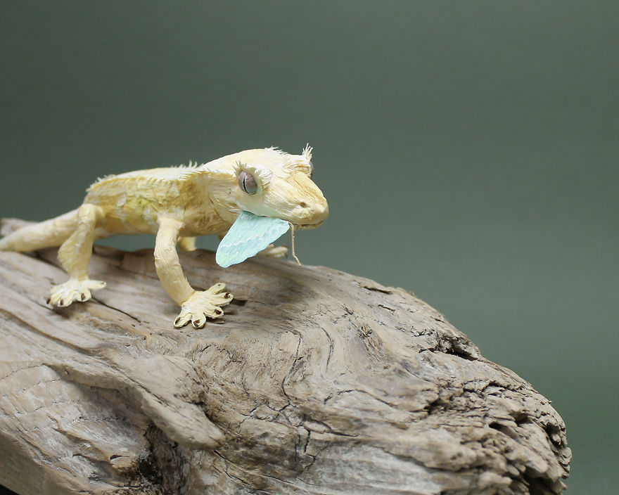 I Use My Unique Technique To Create Realistic Animals And Plants From Paper (34 New Pics) I Use My Unique Technique To Create Realistic Animals And Plants From Paper (34 New Pics)