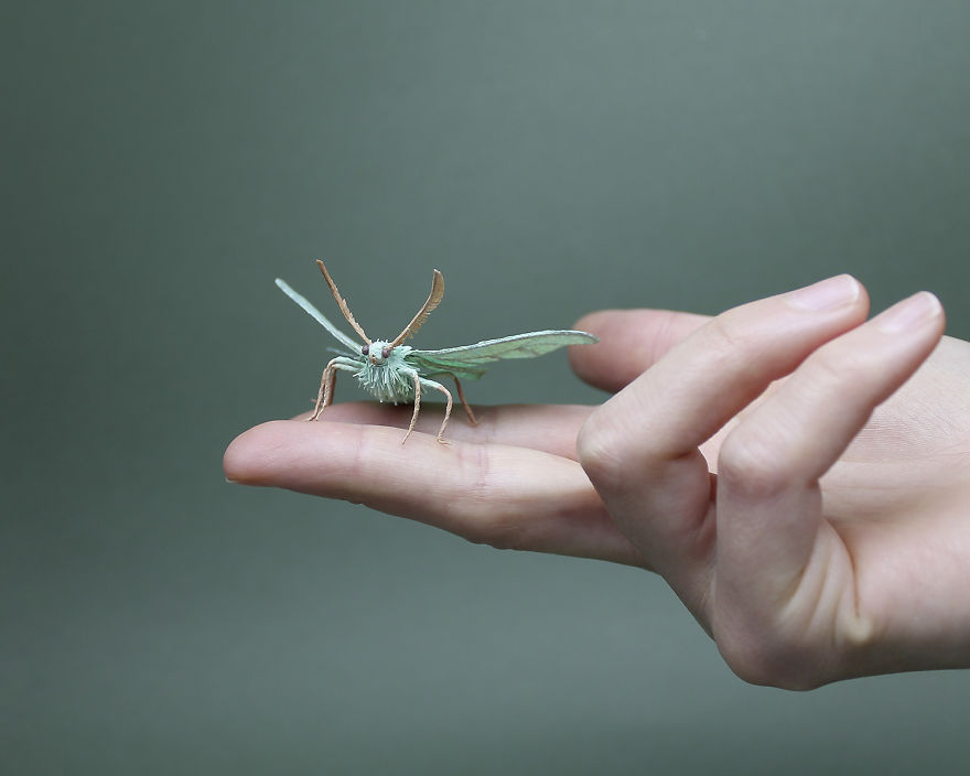 I Use My Unique Technique To Create Realistic Animals And Plants From Paper (34 New Pics) I Use My Unique Technique To Create Realistic Animals And Plants From Paper (34 New Pics)