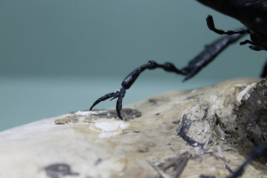 I Use My Unique Technique To Create Realistic Animals And Plants From Paper (34 New Pics) I Use My Unique Technique To Create Realistic Animals And Plants From Paper (34 New Pics)