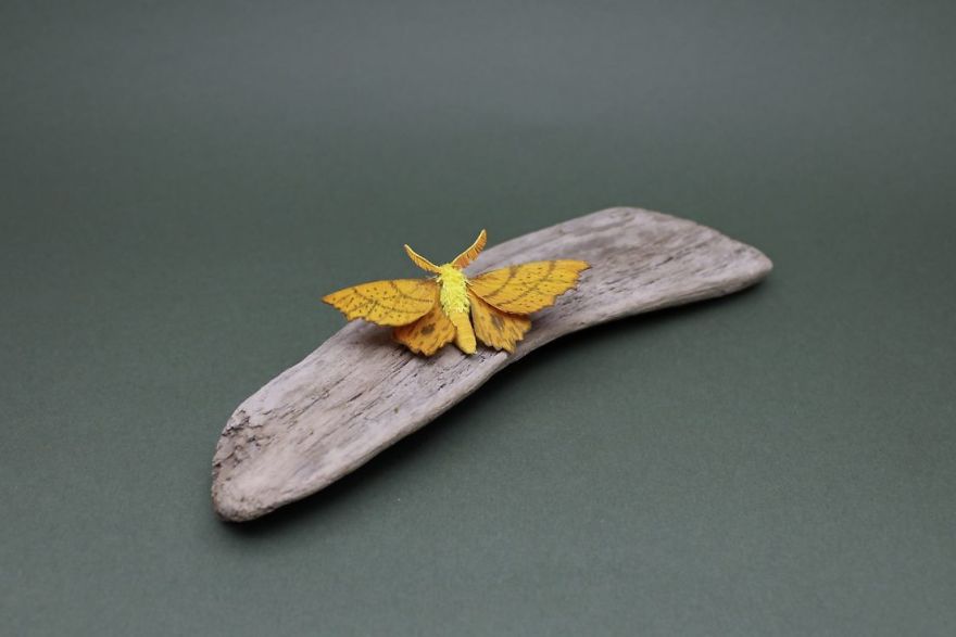 I Use My Unique Technique To Create Realistic Animals And Plants From Paper (34 New Pics) I Use My Unique Technique To Create Realistic Animals And Plants From Paper (34 New Pics)