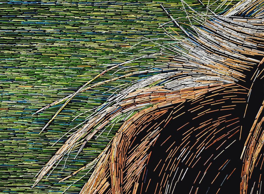 I Used 75,738 Staples To Create A Portrait Of The Family Dog.