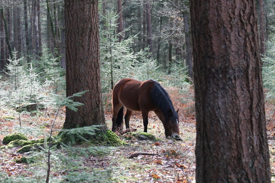 Images Of Dorset Images Of Dorset