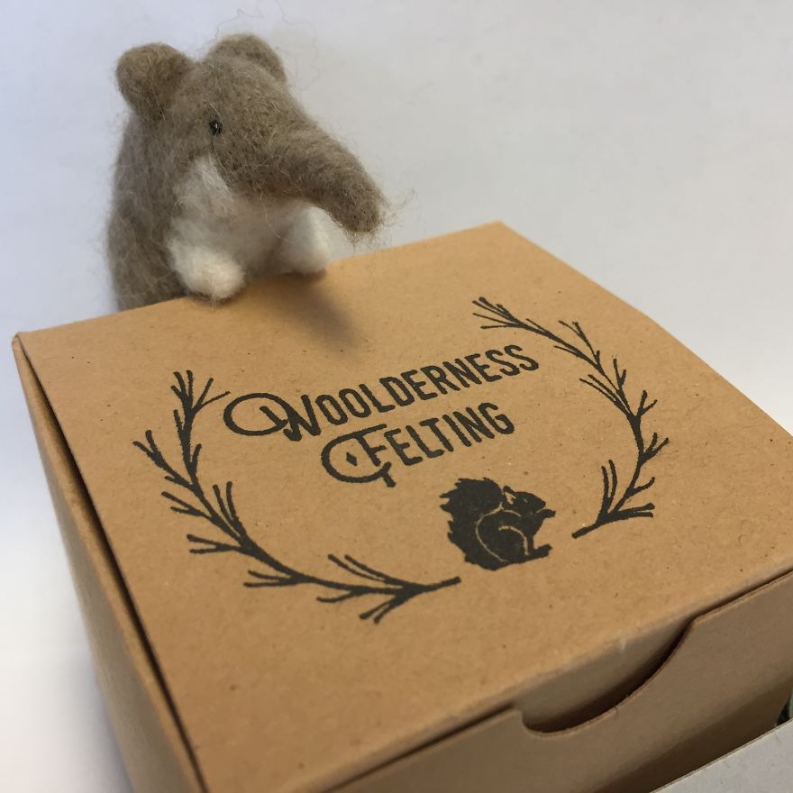 These Squirrels Formed A Book Club, But Did They All Read The Book?