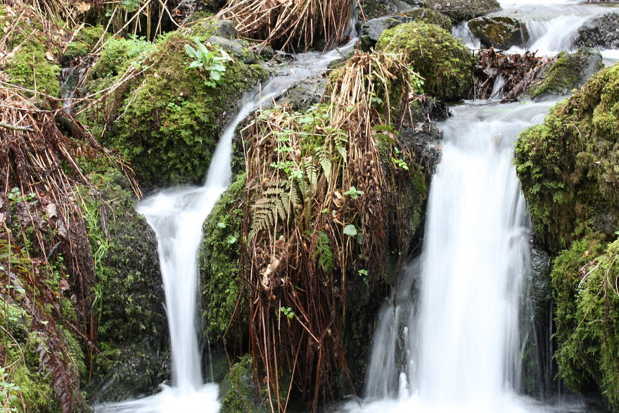 Images Of Dorset Images Of Dorset