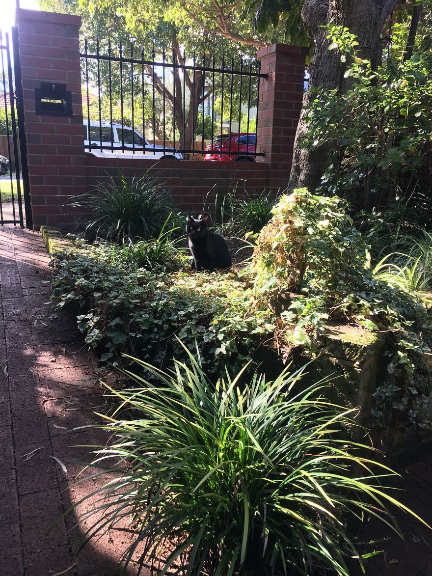 He Looks So Happy :)