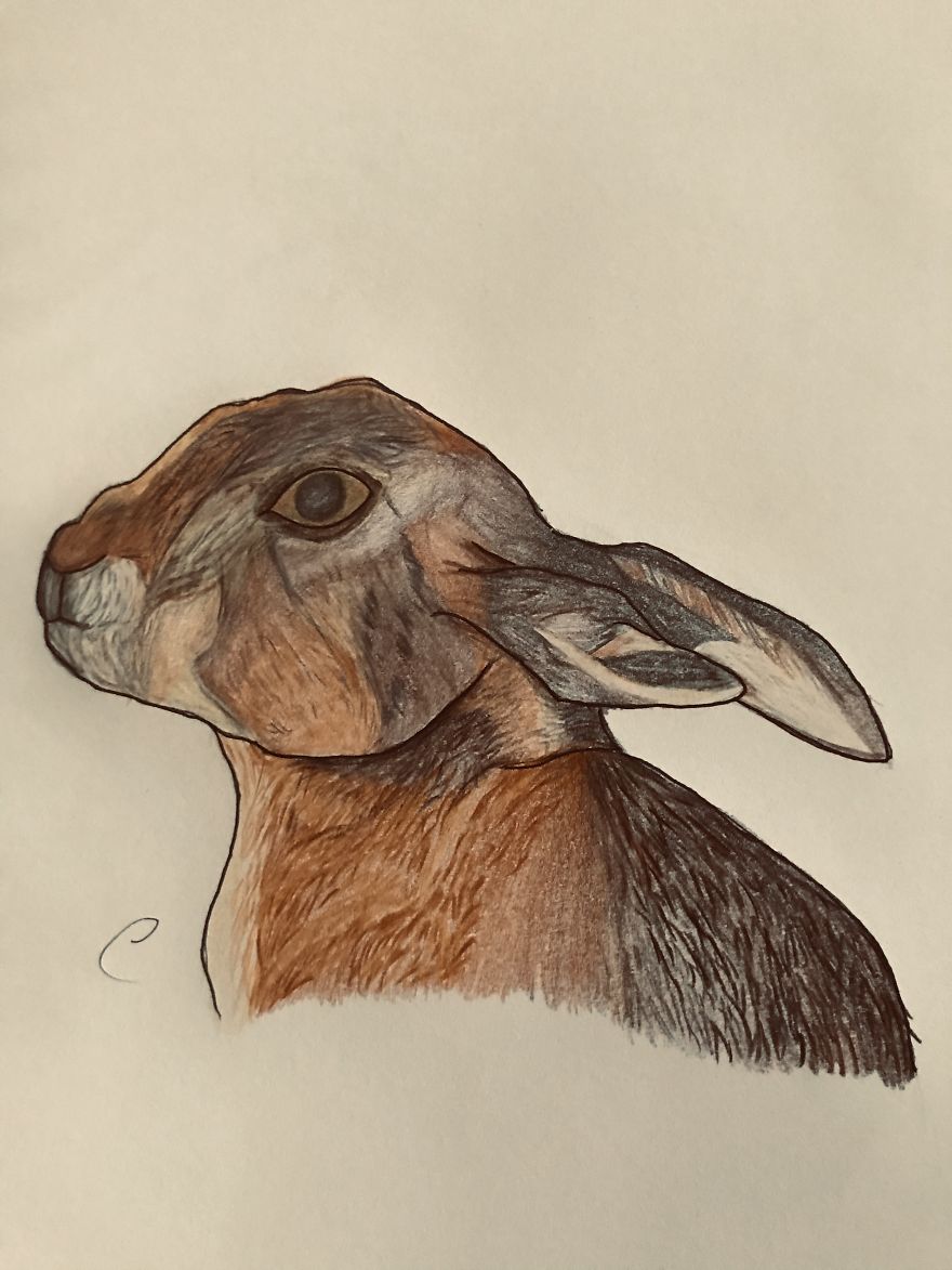 My Art Skills Have Improved During Lockdown